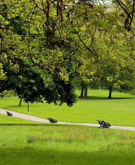 Parks Green Areas Image